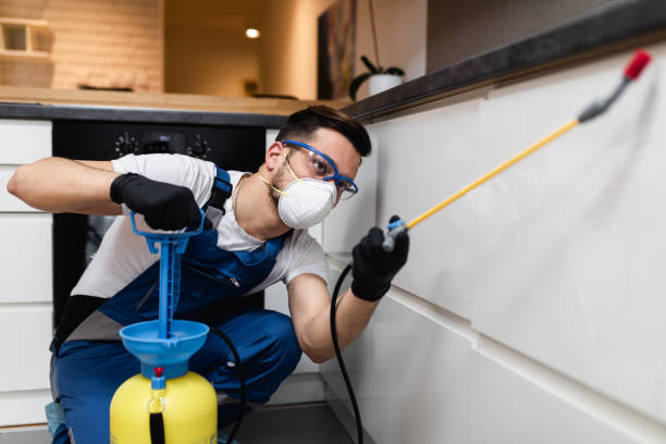 Pest Control for Restaurants in Groveport, OH