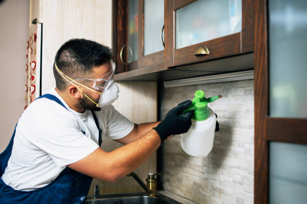 Best Best Pest Control Companies  in Groveport, OH