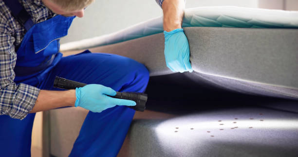 Best Pest Control for Restaurants  in Groveport, OH