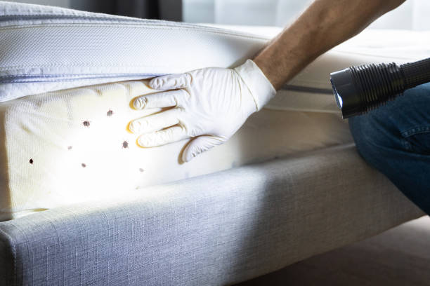 Best Commercial Pest Control Services  in Groveport, OH