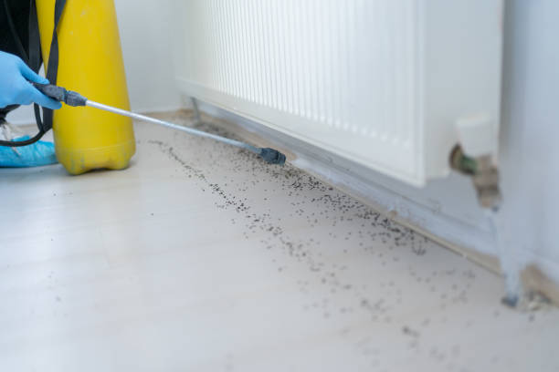 Best Exterminator Services  in Groveport, OH